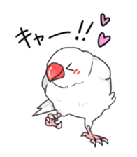 Java sparrow stickers 4 sticker #10439042