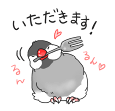 Java sparrow stickers 4 sticker #10439045