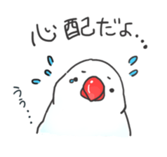 Java sparrow stickers 4 sticker #10439046