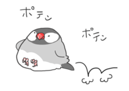 Java sparrow stickers 4 sticker #10439049
