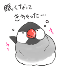 Java sparrow stickers 4 sticker #10439050
