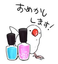 Java sparrow stickers 4 sticker #10439052