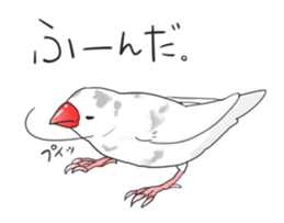 Java sparrow stickers 4 sticker #10439053