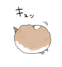 Java sparrow stickers 4 sticker #10439054