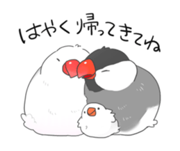 Java sparrow stickers 4 sticker #10439057