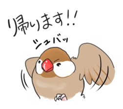 Java sparrow stickers 4 sticker #10439058