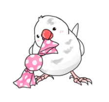 Java sparrow stickers 4 sticker #10439061