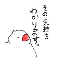 Java sparrow stickers 4 sticker #10439068
