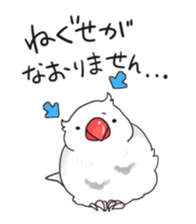 Java sparrow stickers 4 sticker #10439070