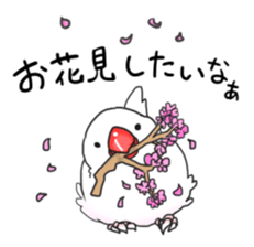 Java sparrow stickers 4 sticker #10439072