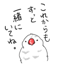 Java sparrow stickers 4 sticker #10439073