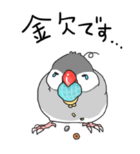Java sparrow stickers 4 sticker #10439077