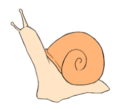 Legs snail sticker #10439199