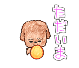 So happy toy poodle!! sticker #10439803