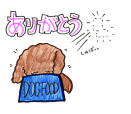 So happy toy poodle!! sticker #10439810
