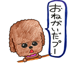 So happy toy poodle!! sticker #10439814