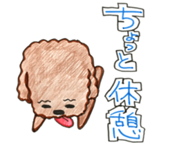So happy toy poodle!! sticker #10439815