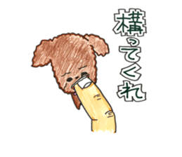 So happy toy poodle!! sticker #10439819