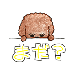 So happy toy poodle!! sticker #10439822