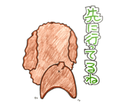 So happy toy poodle!! sticker #10439828