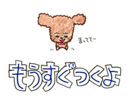 So happy toy poodle!! sticker #10439829