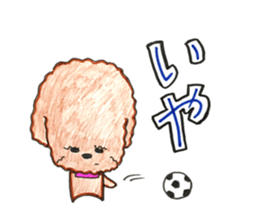 So happy toy poodle!! sticker #10439831