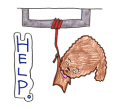 So happy toy poodle!! sticker #10439833