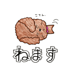 So happy toy poodle!! sticker #10439836