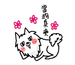 Spitz's life sticker #10439926