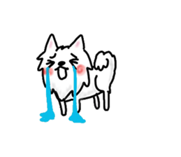 Spitz's life sticker #10439947