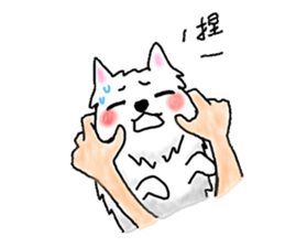 Spitz's life sticker #10439949