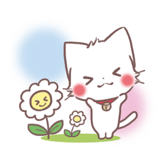 mild-fluffy-cat-spring-