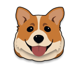 Mochi the Corgi sticker #10441360