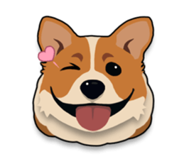 Mochi the Corgi sticker #10441371