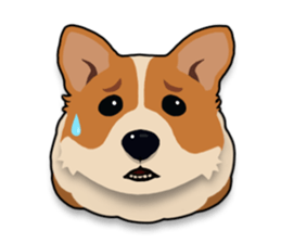 Mochi the Corgi sticker #10441380