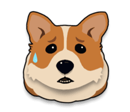 Mochi the Corgi sticker #10441380