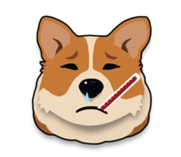 Mochi the Corgi sticker #10441382