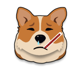 Mochi the Corgi sticker #10441382