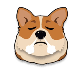 Mochi the Corgi sticker #10441385