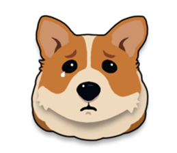 Mochi the Corgi sticker #10441387