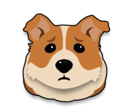 Mochi the Corgi sticker #10441391