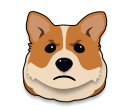 Mochi the Corgi sticker #10441392