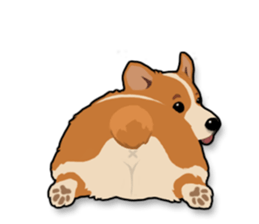 Mochi the Corgi sticker #10441398
