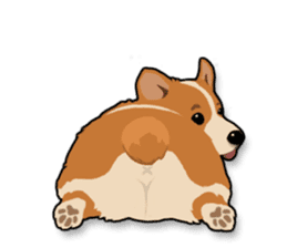 Mochi the Corgi sticker #10441398