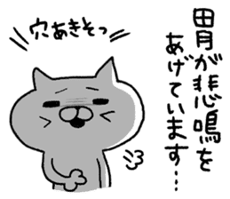 Very free cat and bear sticker #10443387