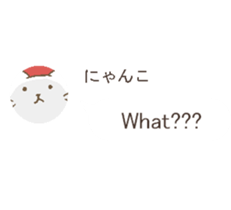 talking cute cats3 sticker #10444020