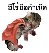 Kitten HeroThai version sticker #10445952
