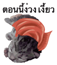 Kitten HeroThai version sticker #10445955