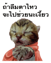 Kitten HeroThai version sticker #10445956