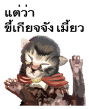 Kitten HeroThai version sticker #10445958